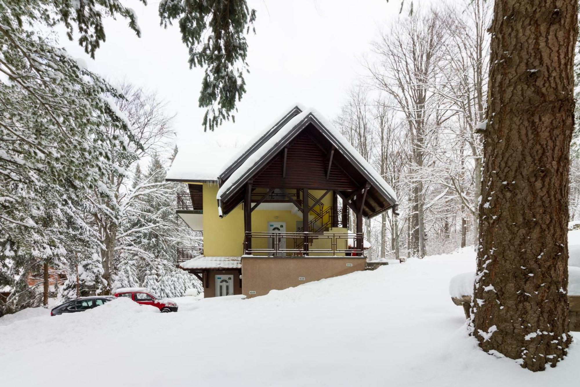 Vila Savinka Zlatibor Exterior foto